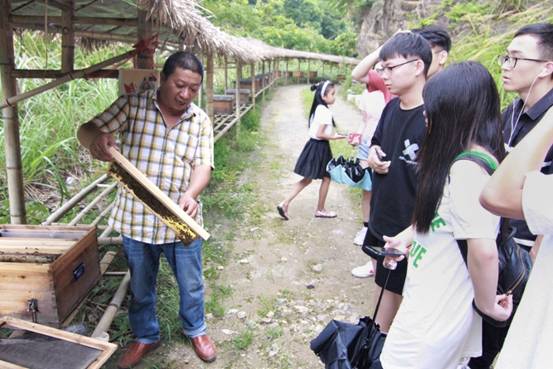 ”善行景宁乡，共圆畲汉梦“91色情
景宁梦之队-实地调研当地养蜂业